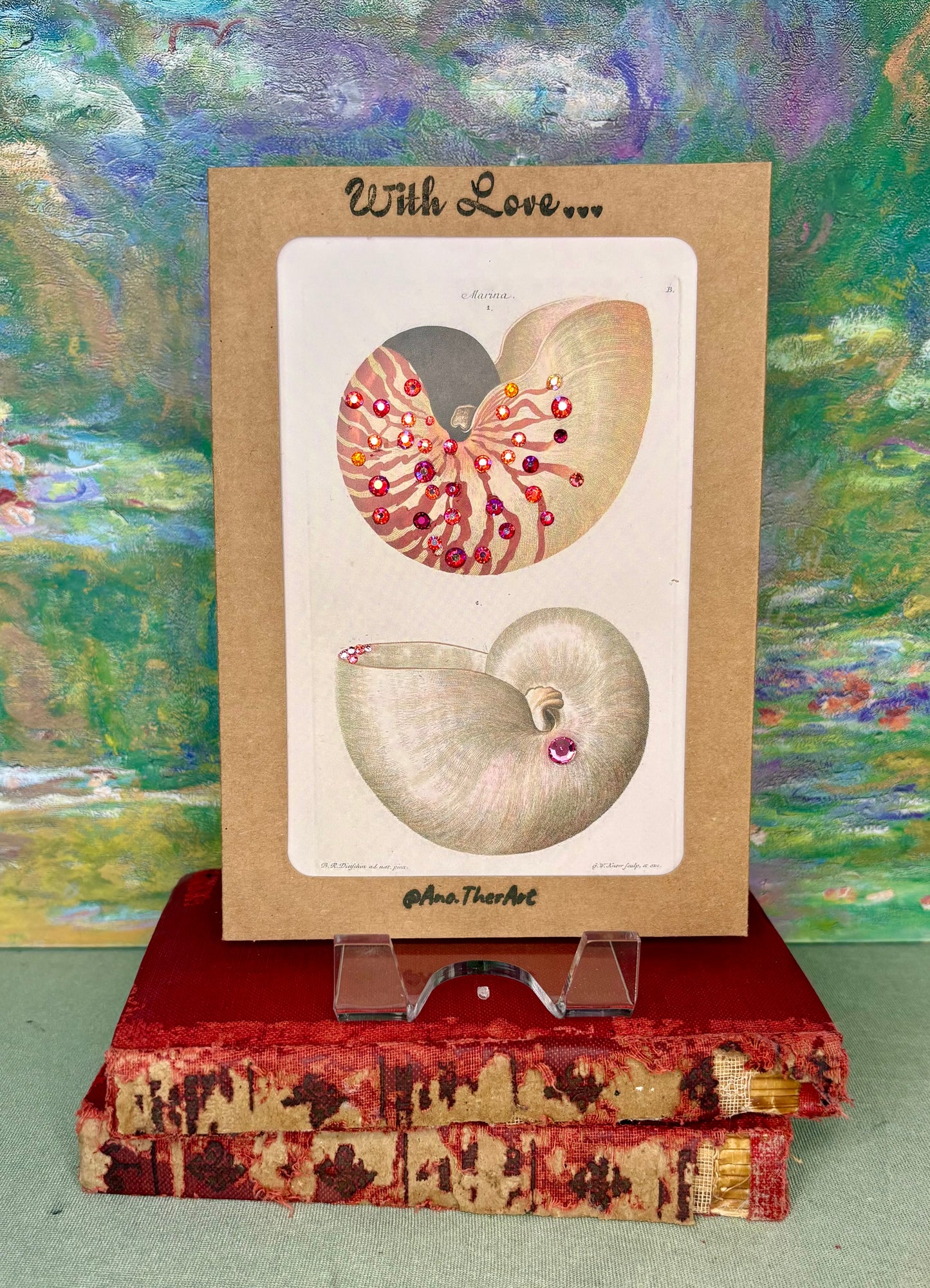 Nautilus Shell Card