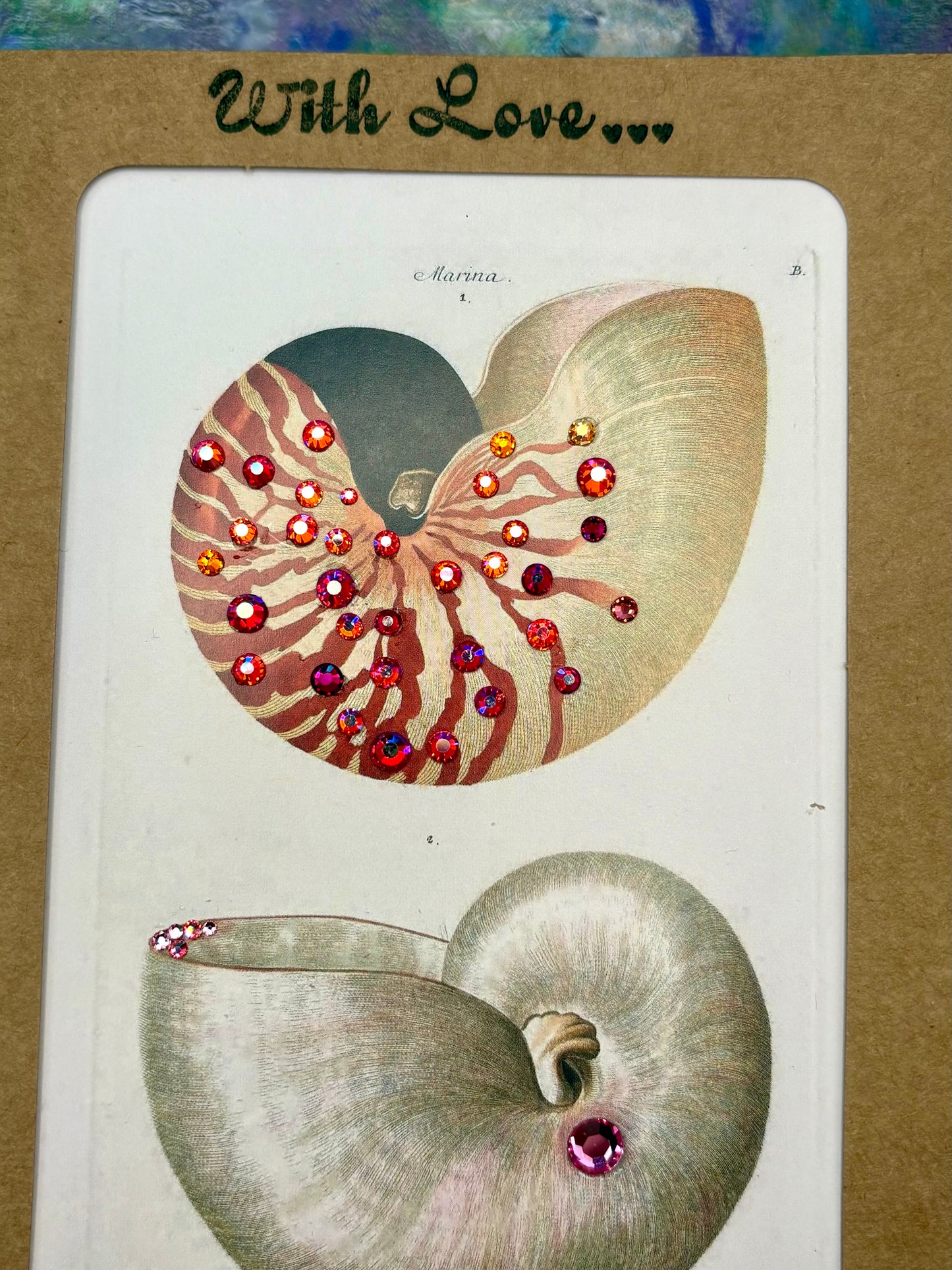 Nautilus Shell Card