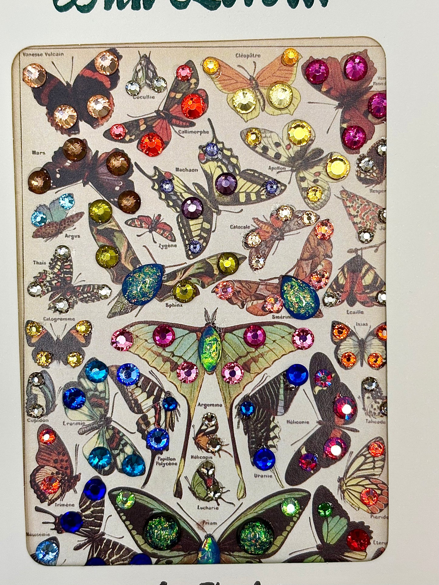 Bestseller Butterfly Card