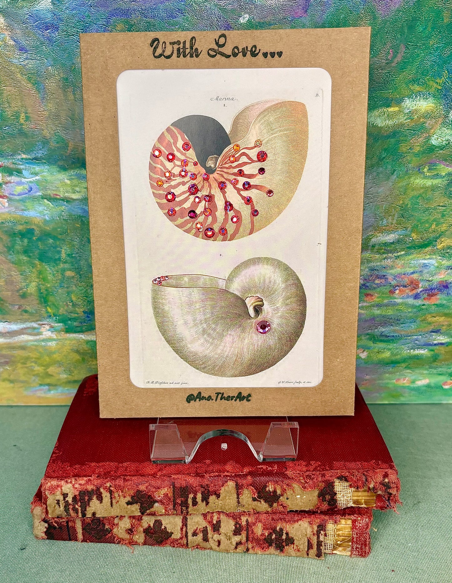 Nautilus Shell Card