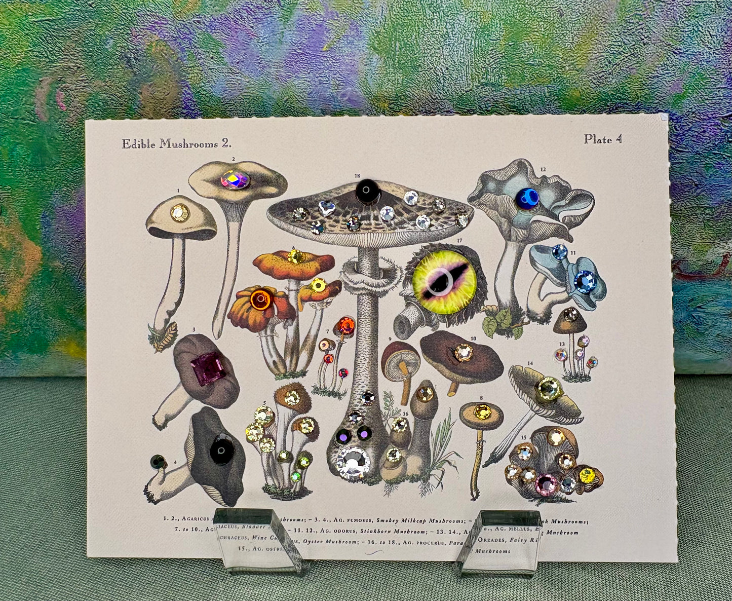 Le Champignon Card